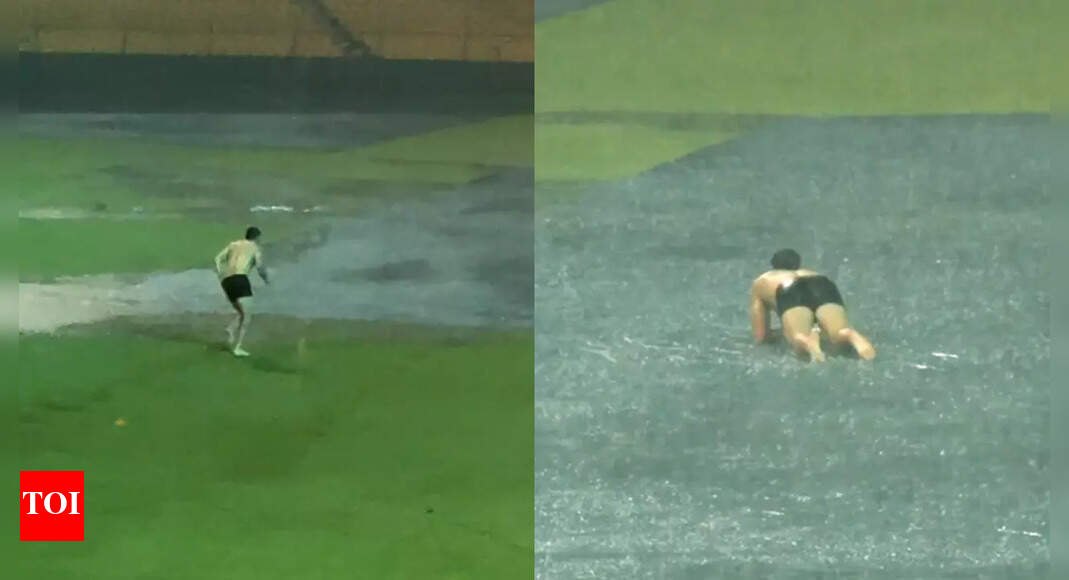 Tim David dives into puddle during RCB practice, teammates left in splits – WATCH | Cricket News